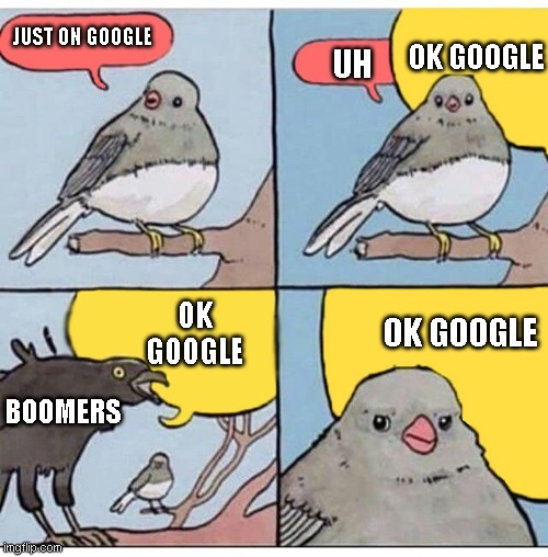 ok boomer | JUST ON GOOGLE; UH; OK GOOGLE; OK GOOGLE; OK GOOGLE; BOOMERS | image tagged in annoyed bird,boomer,google | made w/ Imgflip meme maker