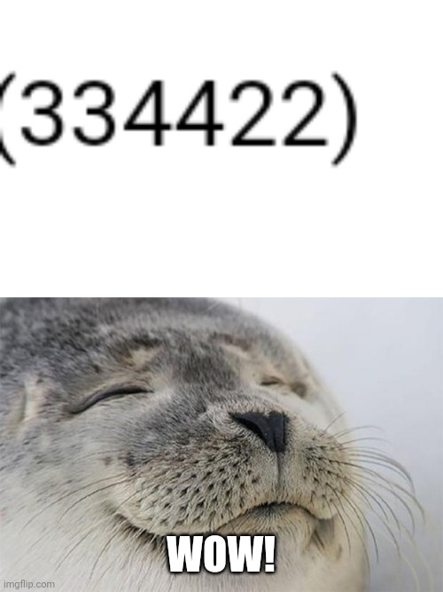WOW! | image tagged in memes,satisfied seal | made w/ Imgflip meme maker