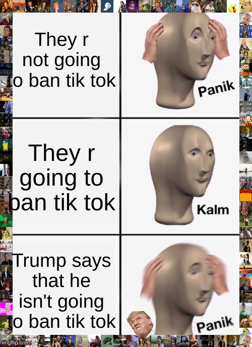 NOOO | They r not going to ban tik tok; They r going to ban tik tok; Trump says that he isn't going to ban tik tok | image tagged in memes,panik kalm panik,help me | made w/ Imgflip meme maker