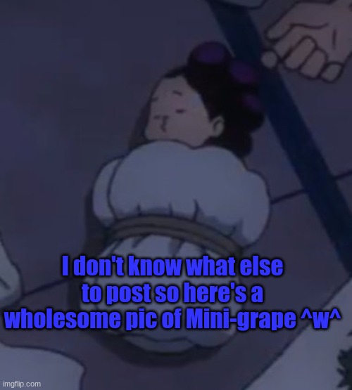Wholesome meme :) | I don't know what else to post so here's a wholesome pic of Mini-grape ^w^ | image tagged in mha,bnha,wholesome,sleep | made w/ Imgflip meme maker