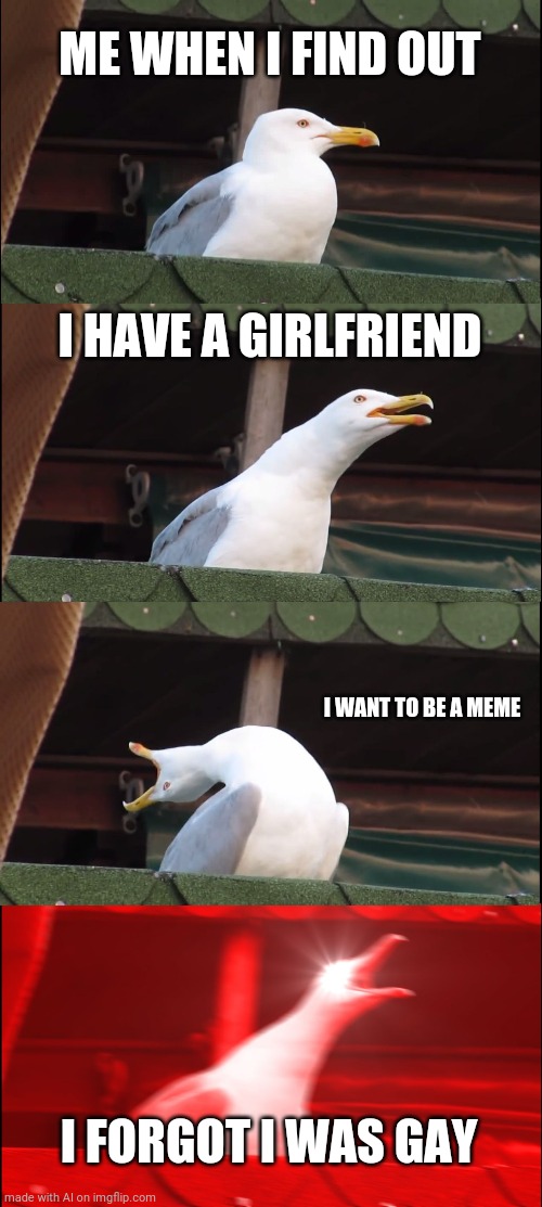 Inhaling Seagull Meme |  ME WHEN I FIND OUT; I HAVE A GIRLFRIEND; I WANT TO BE A MEME; I FORGOT I WAS GAY | image tagged in memes,inhaling seagull | made w/ Imgflip meme maker
