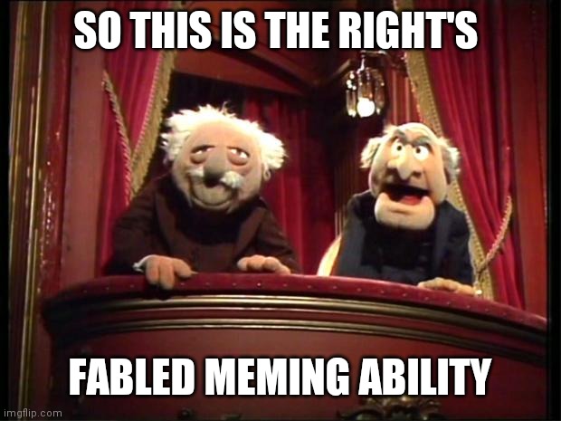Statler and Waldorf | SO THIS IS THE RIGHT'S FABLED MEMING ABILITY | image tagged in statler and waldorf | made w/ Imgflip meme maker