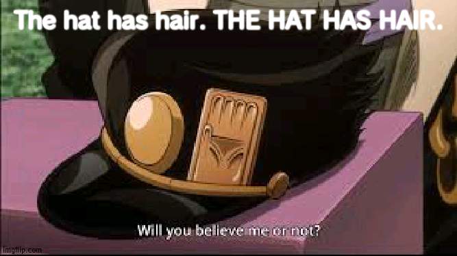 Where did the hair come from JoTaRo? | The hat has hair. THE HAT HAS HAIR. | image tagged in hair | made w/ Imgflip meme maker