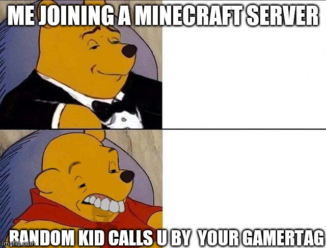 Tuxedo Winnie the Pooh grossed reverse | ME JOINING A MINECRAFT SERVER; RANDOM KID CALLS U BY  YOUR GAMERTAG | image tagged in tuxedo winnie the pooh grossed reverse | made w/ Imgflip meme maker