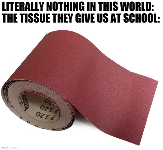 LITERALLY NOTHING IN THIS WORLD:
THE TISSUE THEY GIVE US AT SCHOOL: | image tagged in school meme,memes,funny memes | made w/ Imgflip meme maker