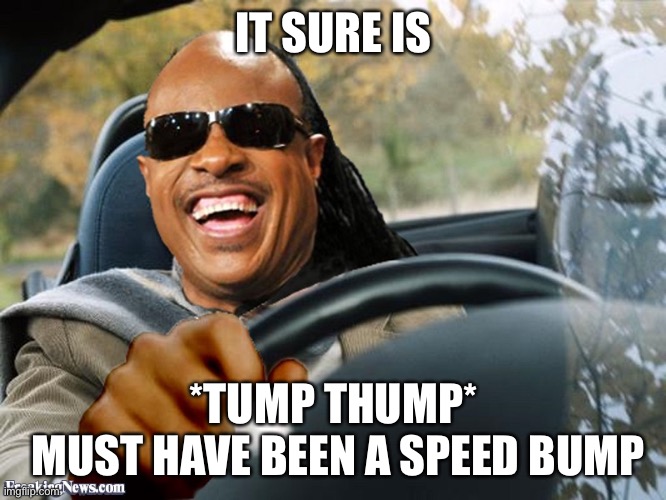 Stevie Wonder Driving | IT SURE IS *TUMP THUMP*
 MUST HAVE BEEN A SPEED BUMP | image tagged in stevie wonder driving | made w/ Imgflip meme maker