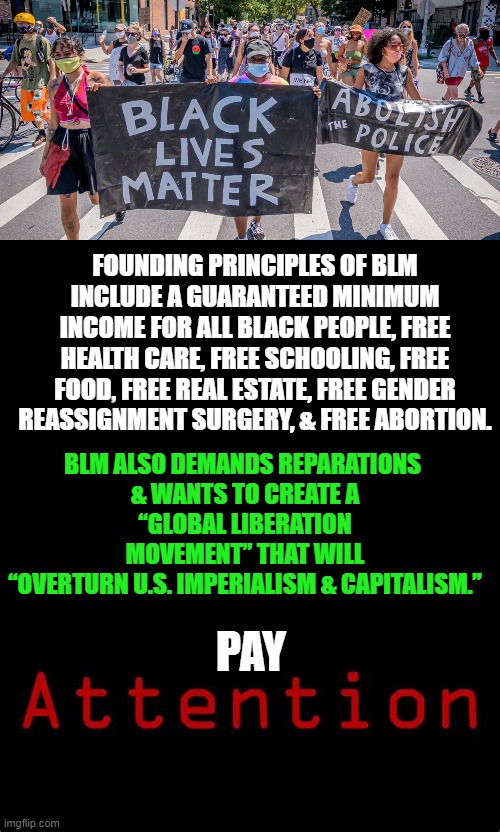 RATIONAL People Would Not Want This...Do You? | BLM ALSO DEMANDS REPARATIONS 

& WANTS TO CREATE A “GLOBAL LIBERATION MOVEMENT” THAT WILL “OVERTURN U.S. IMPERIALISM & CAPITALISM.”; FOUNDING PRINCIPLES OF BLM INCLUDE A GUARANTEED MINIMUM INCOME FOR ALL BLACK PEOPLE, FREE HEALTH CARE, FREE SCHOOLING, FREE FOOD, FREE REAL ESTATE, FREE GENDER REASSIGNMENT SURGERY, & FREE ABORTION. PAY | image tagged in politics,political meme,blm,democratic socialism,leftists,insanity | made w/ Imgflip meme maker