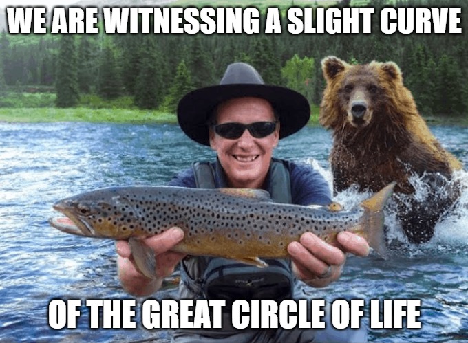 Circles | WE ARE WITNESSING A SLIGHT CURVE; OF THE GREAT CIRCLE OF LIFE | image tagged in fishing,sports,bears,memes,fun,funny | made w/ Imgflip meme maker