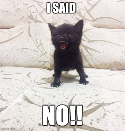 I said No!! | I SAID; NO!! | image tagged in no way,no just no | made w/ Imgflip meme maker