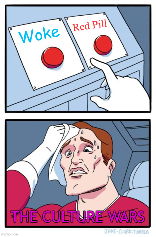 Choices Choices! | Red Pill; Woke; THE CULTURE WARS | image tagged in two buttons,political memes,woke,red pill | made w/ Imgflip meme maker