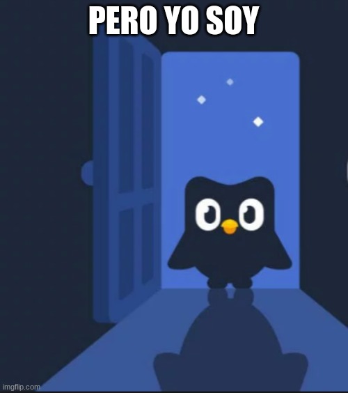 Duolingo bird | PERO YO SOY | image tagged in duolingo bird | made w/ Imgflip meme maker