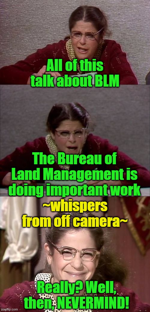 Bad Pun Gilda Radner playing Emily Litella | All of this talk about BLM; The Bureau of Land Management is doing important work; ~whispers from off camera~; Really? Well, then, NEVERMIND! | image tagged in bad pun gilda radner playing emily litella,blm,nevermind | made w/ Imgflip meme maker
