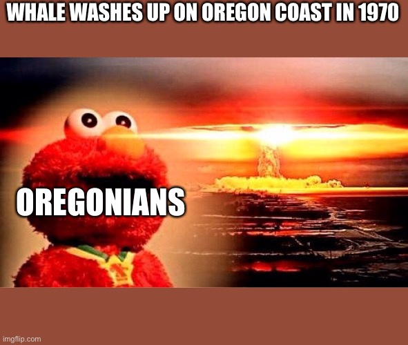 elmo nuclear explosion | WHALE WASHES UP ON OREGON COAST IN 1970; OREGONIANS | image tagged in elmo nuclear explosion | made w/ Imgflip meme maker