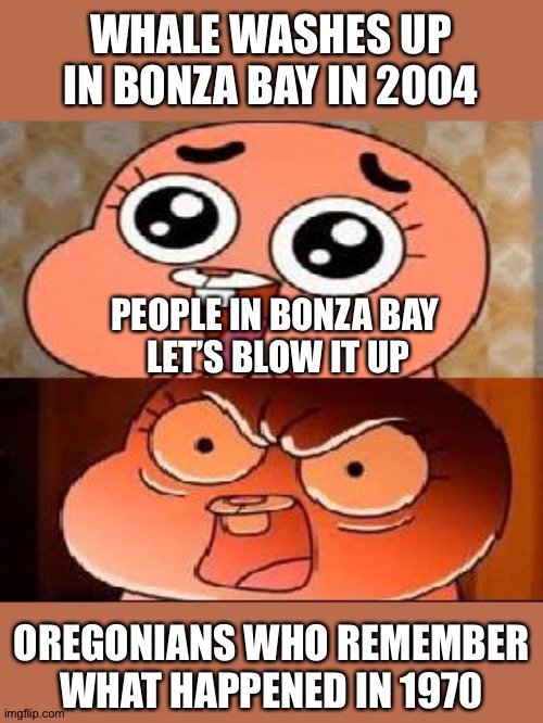 World of Gumball Anais | WHALE WASHES UP IN BONZA BAY IN 2004; PEOPLE IN BONZA BAY 
LET’S BLOW IT UP; OREGONIANS WHO REMEMBER WHAT HAPPENED IN 1970 | image tagged in world of gumball anais | made w/ Imgflip meme maker