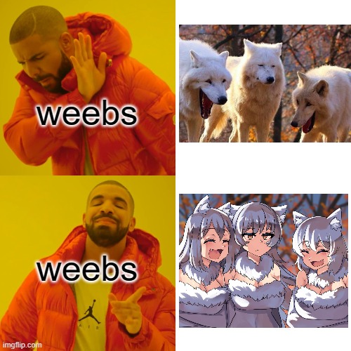 the weebs prefer this | weebs; weebs | image tagged in memes,drake hotline bling | made w/ Imgflip meme maker