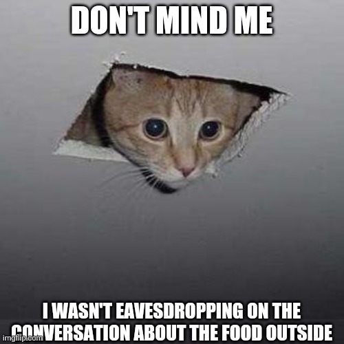 cat | DON'T MIND ME; I WASN'T EAVESDROPPING ON THE CONVERSATION ABOUT THE FOOD OUTSIDE | image tagged in memes,ceiling cat | made w/ Imgflip meme maker