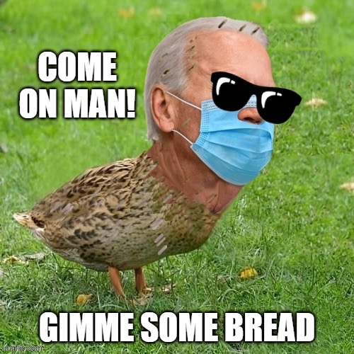 Come On Man | image tagged in you know the thing,joe bidenduck | made w/ Imgflip meme maker