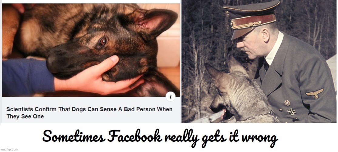 Facebook Fact Check Error | image tagged in facebook,fact check,hitler,dogs | made w/ Imgflip meme maker