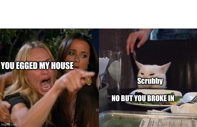 Bruh moment | YOU EGGED MY HOUSE; Scrubby; NO BUT YOU BROKE IN | image tagged in memes,woman yelling at cat,funny memes,youtube | made w/ Imgflip meme maker