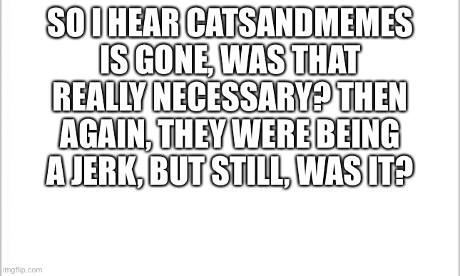 I literally just woke up from a nap and I see people screaming about this argument thing | SO I HEAR CATSANDMEMES IS GONE, WAS THAT REALLY NECESSARY? THEN AGAIN, THEY WERE BEING A JERK, BUT STILL, WAS IT? | image tagged in white background | made w/ Imgflip meme maker