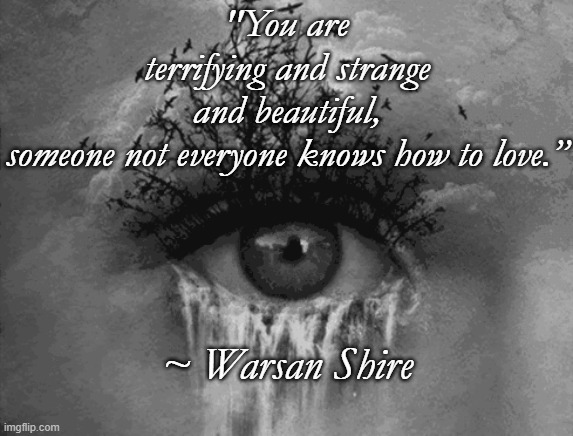 Strange and Beautiful | "You are terrifying and strange and beautiful, someone not everyone knows how to love.”; ~ Warsan Shire | image tagged in warsan shire,poetry,love | made w/ Imgflip meme maker