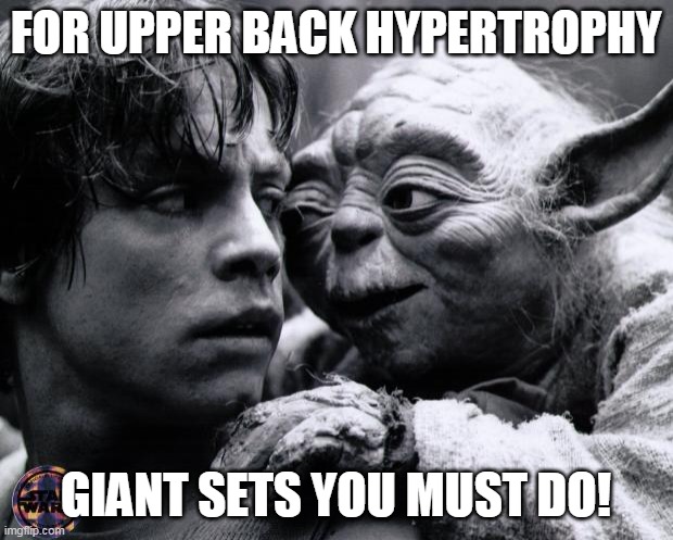 Yoda & Luke | FOR UPPER BACK HYPERTROPHY; GIANT SETS YOU MUST DO! | image tagged in yoda  luke | made w/ Imgflip meme maker