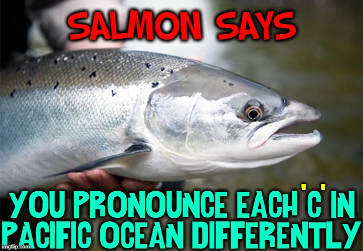 Prof. Salmon Sez, Elocution Expert | SALMON SAYS; '   '; YOU PRONOUNCE EACH "C" IN
PACIFIC OCEAN DIFFERENTLY | image tagged in vince vance,pacific ocean,salmon,says,simon says,meme | made w/ Imgflip meme maker