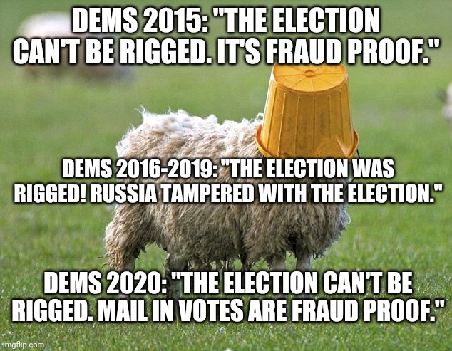 stupid sheep | DEMS 2015: "THE ELECTION CAN'T BE RIGGED. IT'S FRAUD PROOF."; DEMS 2016-2019: "THE ELECTION WAS RIGGED! RUSSIA TAMPERED WITH THE ELECTION."; DEMS 2020: "THE ELECTION CAN'T BE RIGGED. MAIL IN VOTES ARE FRAUD PROOF." | image tagged in stupid sheep | made w/ Imgflip meme maker