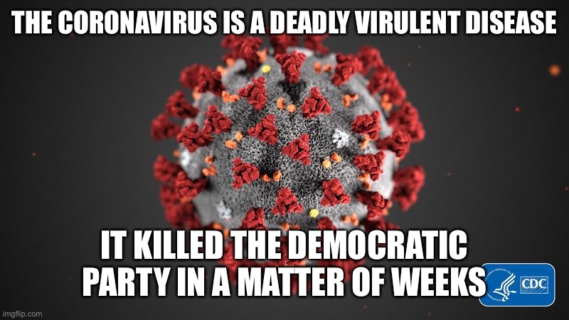 Covid 19 | THE CORONAVIRUS IS A DEADLY VIRULENT DISEASE; IT KILLED THE DEMOCRATIC PARTY IN A MATTER OF WEEKS | image tagged in covid 19,democrats,deadly,traitors,coronavirus | made w/ Imgflip meme maker