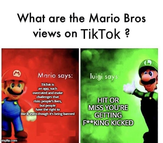 Both are right, but I'll go with Luigi | TikTok; TikTok is an app, such overrated and make challenges that risks people's lives, but people have the right to like it, even though it's being banned; HIT OR MISS YOU'RE GETTING F**KING KICKED | image tagged in mario bros views,tiktok | made w/ Imgflip meme maker