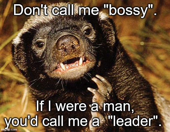 Leader | Don't call me "bossy". If I were a man, you'd call me a  "leader". | image tagged in honey badger,leader | made w/ Imgflip meme maker