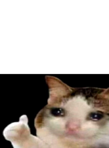 Sad cat thumbs up white spacing Blank Meme Template