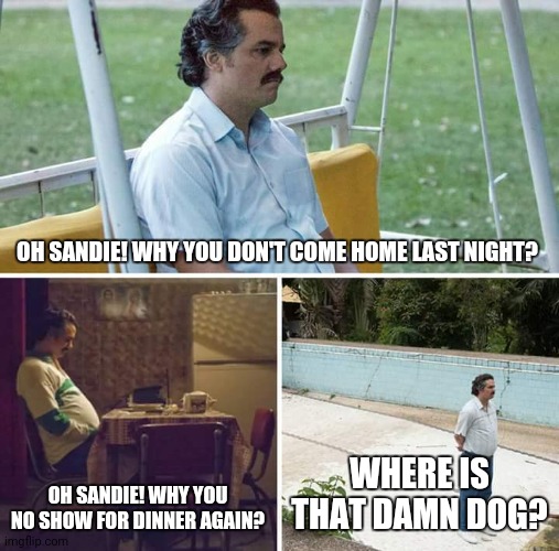 Sad Pablo Escobar Meme | OH SANDIE! WHY YOU DON'T COME HOME LAST NIGHT? OH SANDIE! WHY YOU NO SHOW FOR DINNER AGAIN? WHERE IS THAT DAMN DOG? | image tagged in memes,sad pablo escobar | made w/ Imgflip meme maker