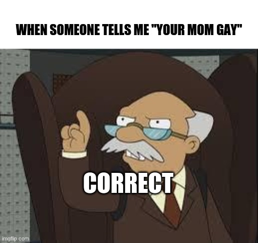 True story and they should have said moms not mom | WHEN SOMEONE TELLS ME "YOUR MOM GAY"; CORRECT | image tagged in technically correct,mom | made w/ Imgflip meme maker