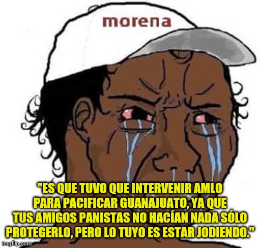 Chairo de Morena | "ES QUE TUVO QUE INTERVENIR AMLO PARA PACIFICAR GUANAJUATO, YA QUE TUS AMIGOS PANISTAS NO HACÍAN NADA SÓLO PROTEGERLO, PERO LO TUYO ES ESTAR JODIENDO." | image tagged in chairo de morena | made w/ Imgflip meme maker