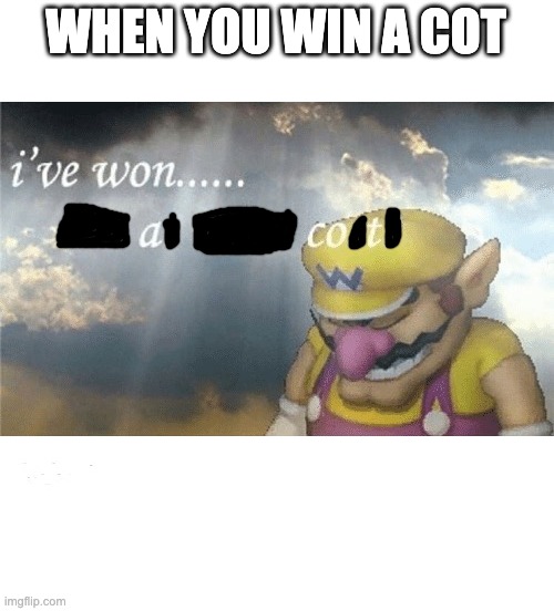 But...Why? | WHEN YOU WIN A COT | image tagged in wario sad,stupid,funny memes | made w/ Imgflip meme maker