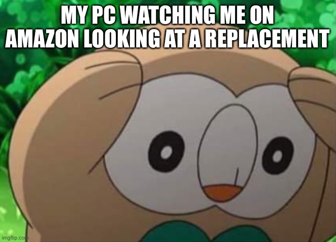 Oh no... | MY PC WATCHING ME ON AMAZON LOOKING AT A REPLACEMENT | image tagged in panicked rowlet | made w/ Imgflip meme maker