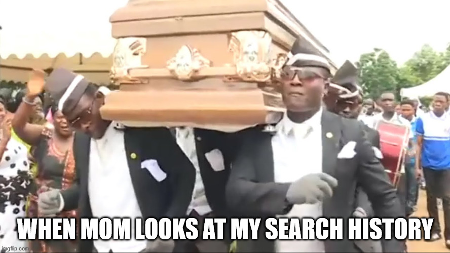 She knows... | WHEN MOM LOOKS AT MY SEARCH HISTORY | image tagged in coffin dance | made w/ Imgflip meme maker