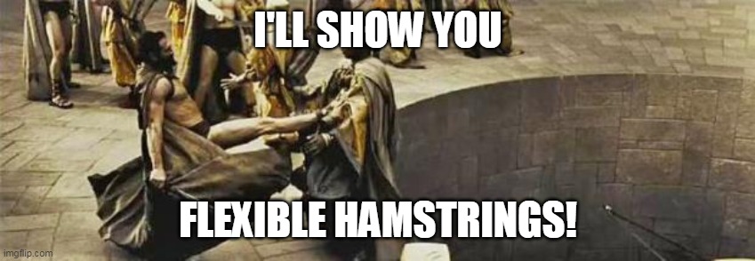 300 kick | I'LL SHOW YOU; FLEXIBLE HAMSTRINGS! | image tagged in 300 kick | made w/ Imgflip meme maker