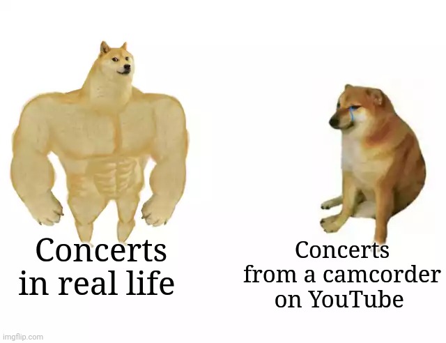 Buff Doge vs. Cheems | Concerts from a camcorder on YouTube; Concerts in real life | image tagged in buff doge vs cheems | made w/ Imgflip meme maker