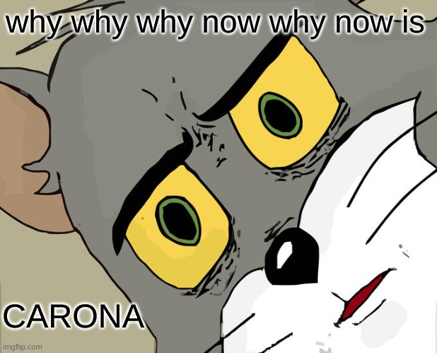 Unsettled Tom Meme | why why why now why now is; CARONA | image tagged in memes,unsettled tom | made w/ Imgflip meme maker