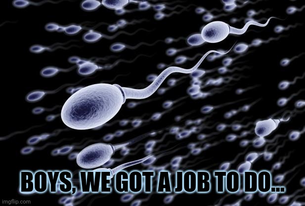 sperm swimming | BOYS, WE GOT A JOB TO DO... | image tagged in sperm swimming | made w/ Imgflip meme maker