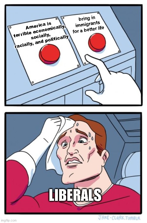 Two Buttons | America is terrible economically, socially, racially, and politically; bring in immigrants for a better life; LIBERALS | image tagged in memes,two buttons | made w/ Imgflip meme maker