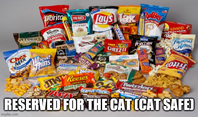 Snacks | RESERVED FOR THE CAT (CAT SAFE) | image tagged in snacks | made w/ Imgflip meme maker