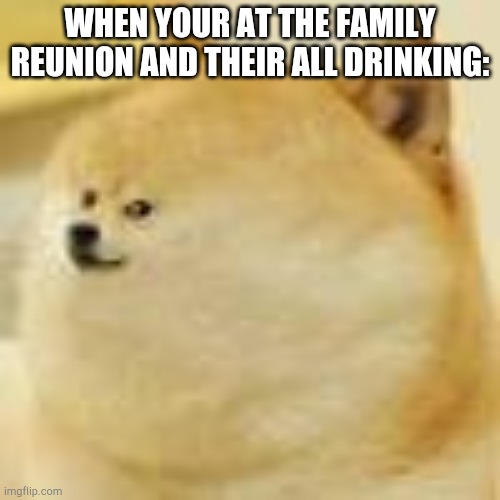The meme of all memes  | WHEN YOUR AT THE FAMILY REUNION AND THEIR ALL DRINKING: | image tagged in the meme of all memes | made w/ Imgflip meme maker