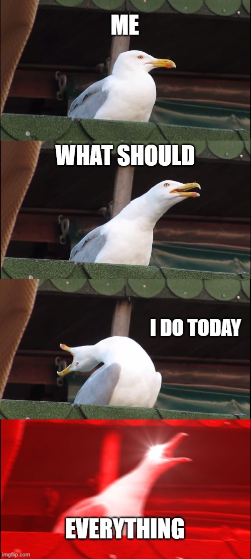 Inhaling Seagull | ME; WHAT SHOULD; I DO TODAY; EVERYTHING | image tagged in memes,inhaling seagull | made w/ Imgflip meme maker