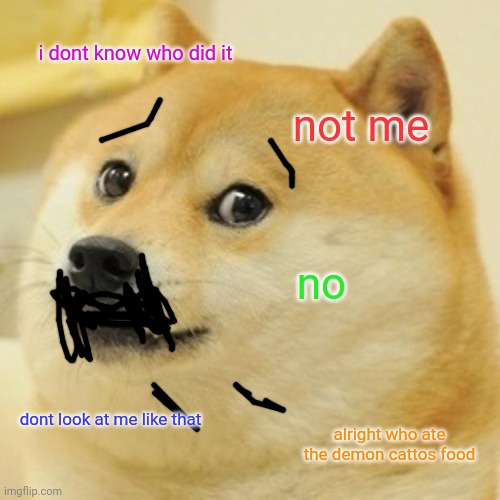 Doge Meme | i dont know who did it not me no dont look at me like that alright who ate the demon cattos food | image tagged in memes,doge | made w/ Imgflip meme maker