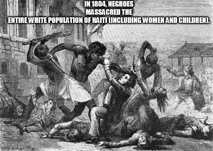 groids | IN 1804, NEGROES MASSACRED THE ENTIRE WHITE POPULATION OF HAITI (INCLUDING WOMEN AND CHILDREN). | image tagged in groids | made w/ Imgflip meme maker