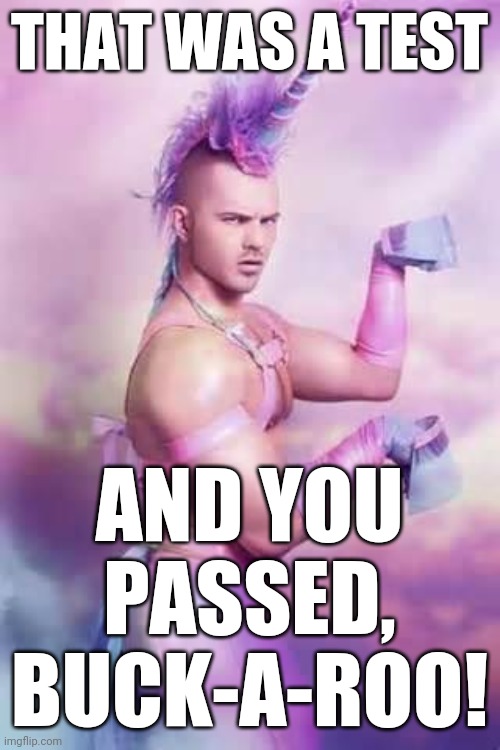 Gay Unicorn | THAT WAS A TEST AND YOU PASSED, BUCK-A-ROO! | image tagged in gay unicorn | made w/ Imgflip meme maker