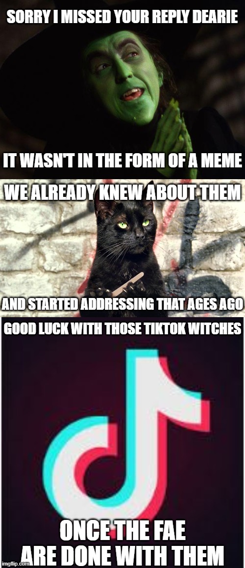 SORRY I MISSED YOUR REPLY DEARIE ONCE THE FAE ARE DONE WITH THEM IT WASN'T IN THE FORM OF A MEME WE ALREADY KNEW ABOUT THEM AND STARTED ADDR | image tagged in wicked witch west,salemthecat,tik tok | made w/ Imgflip meme maker